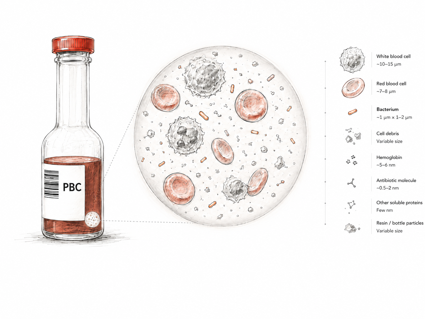 Illustration of a positive blood culture containing microorganisms, human cells, proteins, debris and other sample components